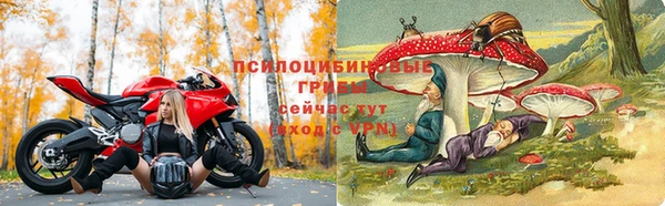 сатива Абдулино