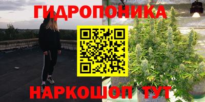 не бодяженный Лесосибирск