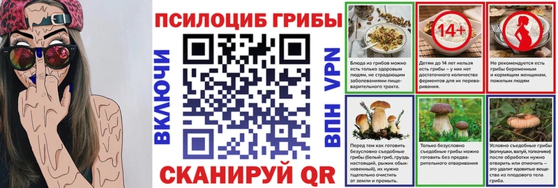 Псилоцибиновые грибы Psilocybine cubensis  купить  цена  KRAKEN вход  Касимов 